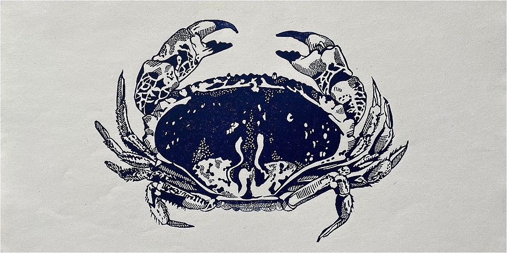 The Evolution of Now