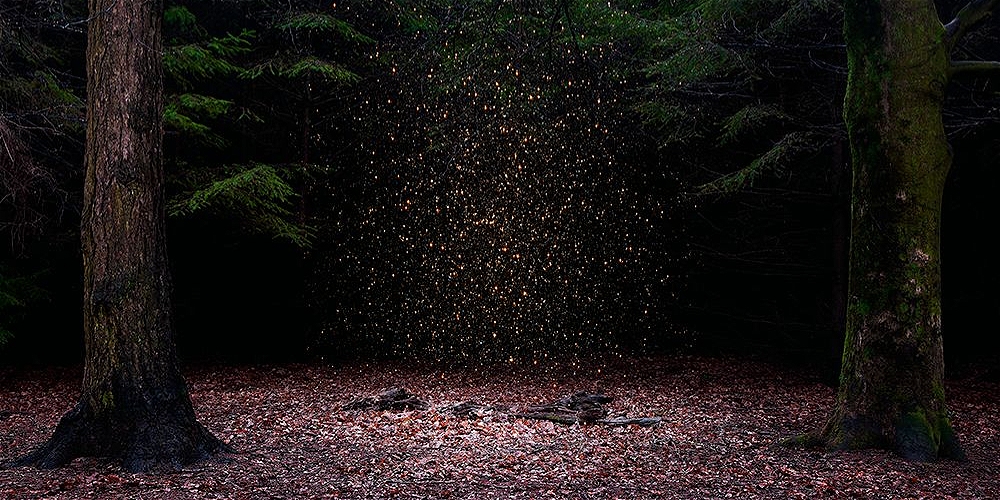 AestheticaArtPrize20DefiningtheFutureofContemporaryArt_1000x500