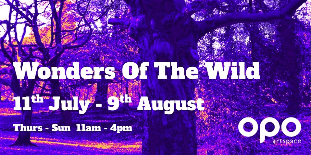 WondersOfTheWild_1000x500